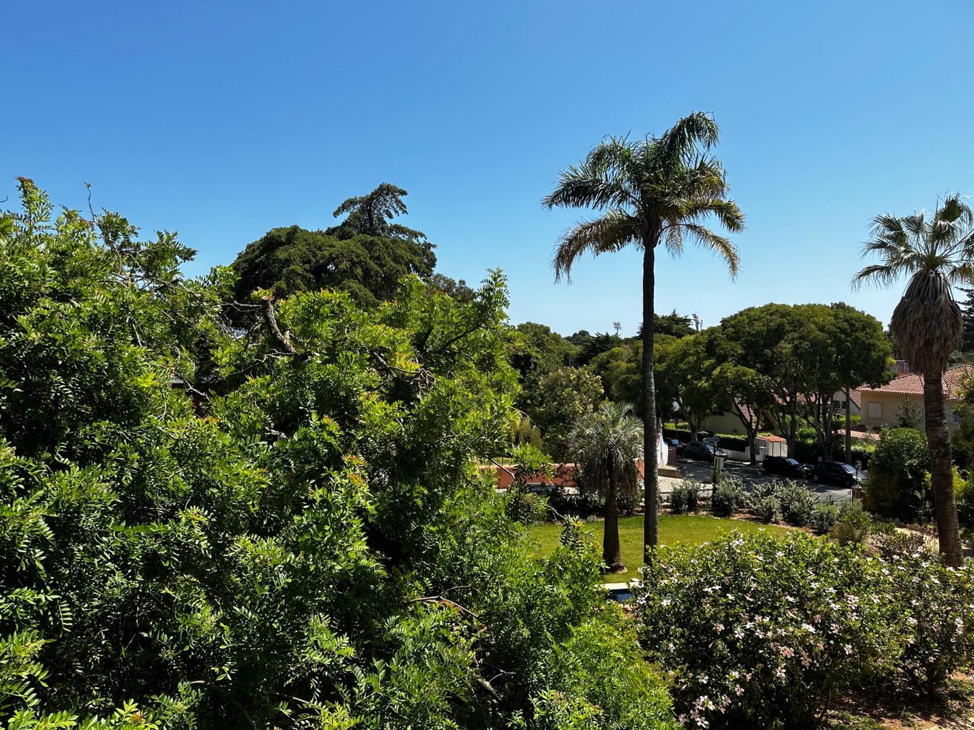 Chalet Ficalho Cascais Ngoại thất bức ảnh
